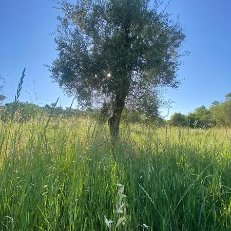 Villa Verde Apartamento Marconia