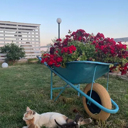 Villa Verde *