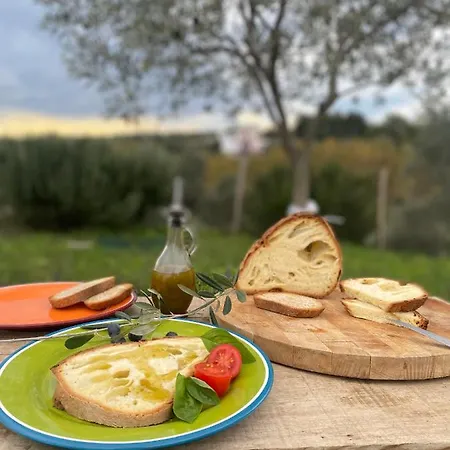 Villa Verde Apartamento
